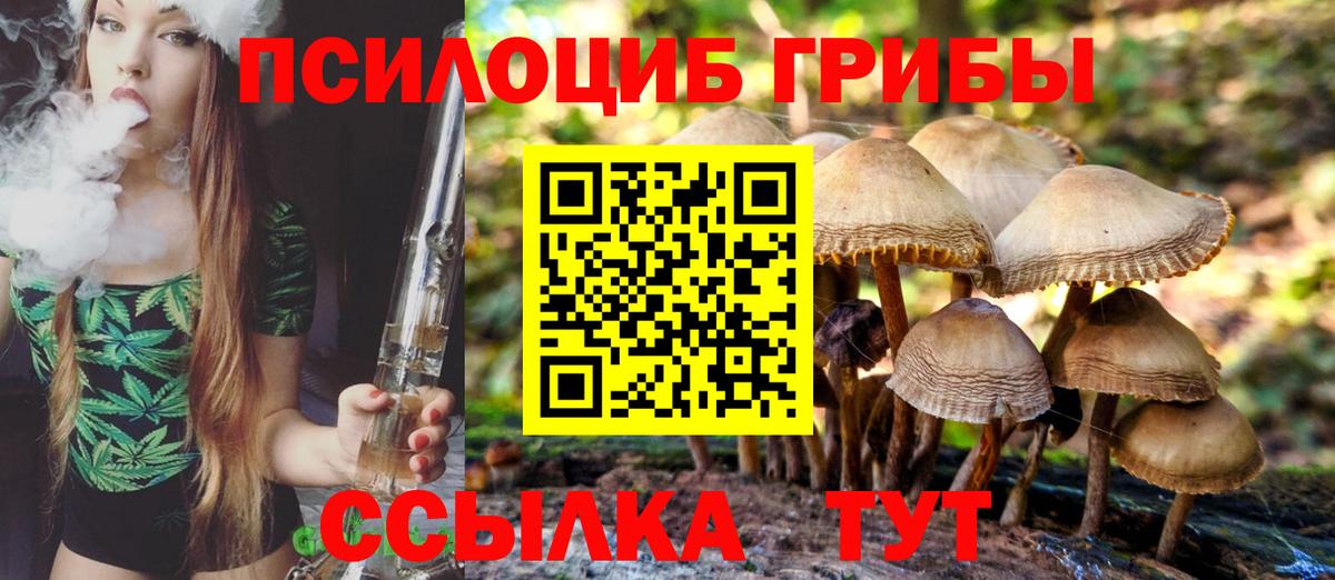 Дубна  Галлюциногенные грибы ЛСД  Вход с VPN 