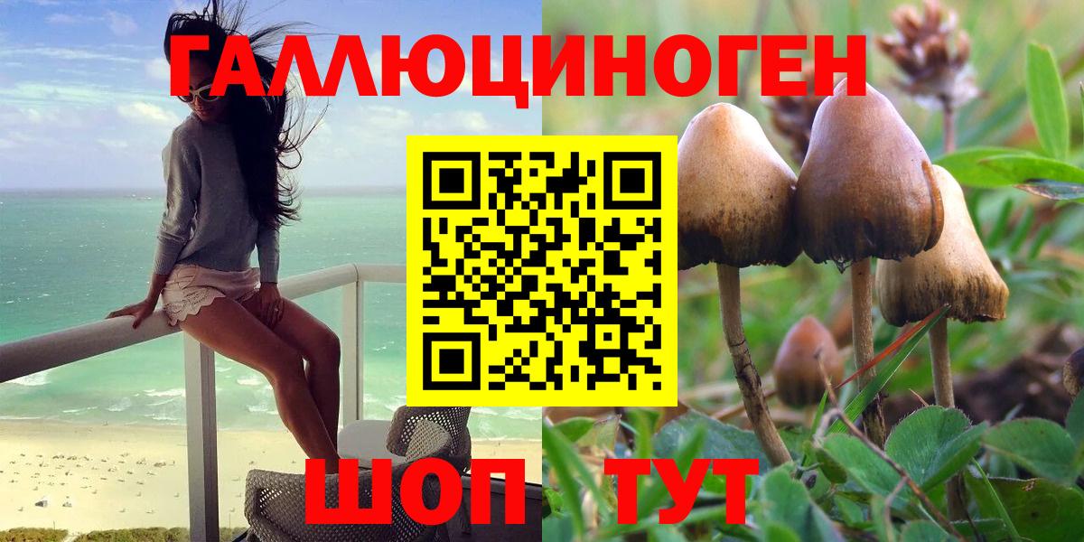 Псилоцибиновые грибы Psilocybine cubensis Дубна